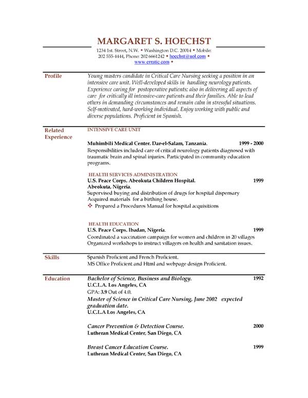 it skills cv